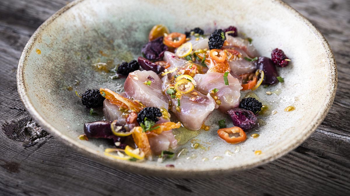 Fish Crudo with Berries & Chilis